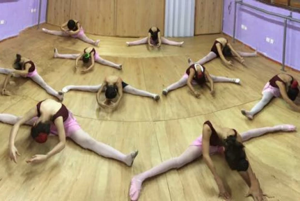 Academia De Danza Ballerina, foto de portada