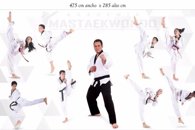 Academia Mas Taekwondo, foto de portada