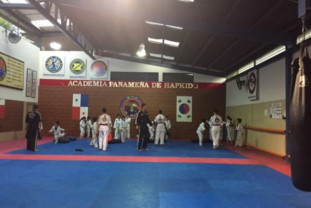 Academia Panameña De Hapkido, foto 2