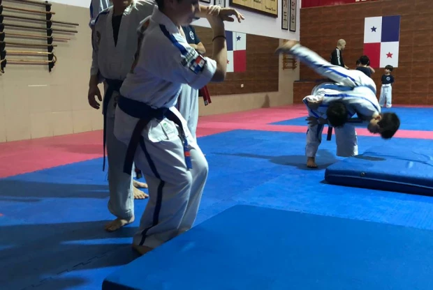 Academia Panameña De Hapkido, foto 3