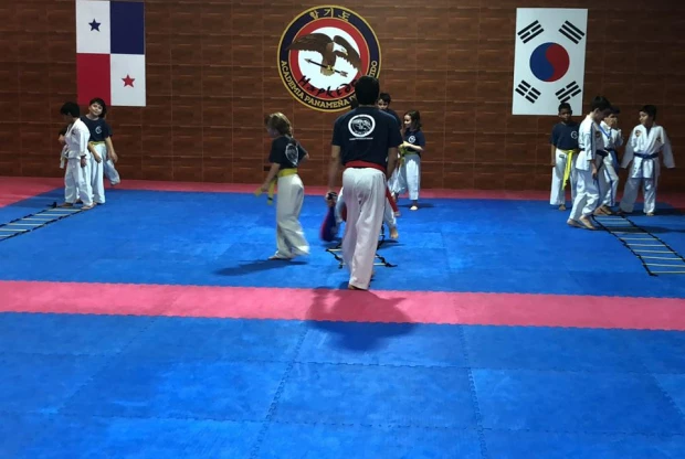 Academia Panameña De Hapkido, foto 4