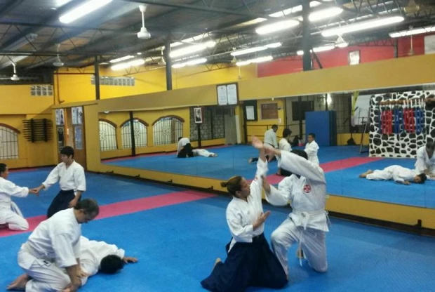Aikido Yamato Buikuka (Betania), foto 4