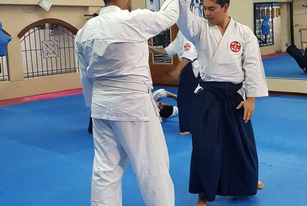 Aikido Yamato Buikuka (Betania), foto 6