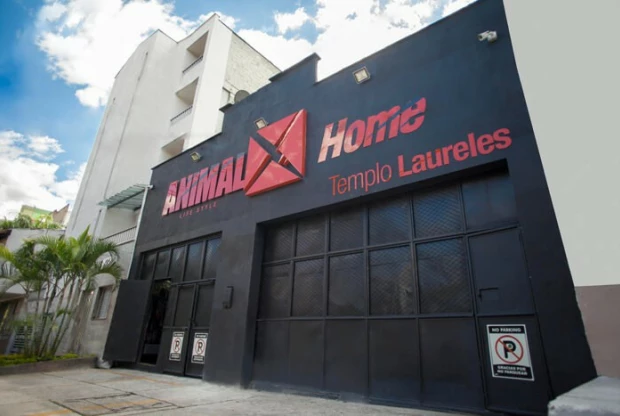 Animal X - Laureles, foto de portada