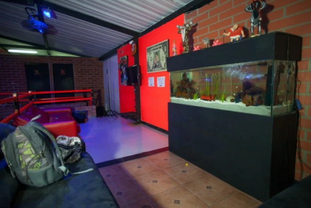 Animal X - Laureles, foto 6
