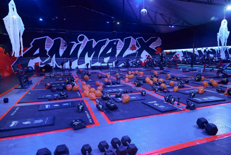 Animalx Templo Envigado, foto 5