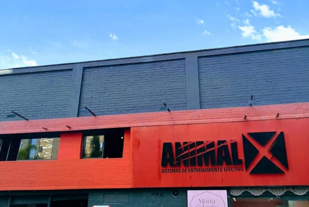Animalx Templo Estadio, foto de portada