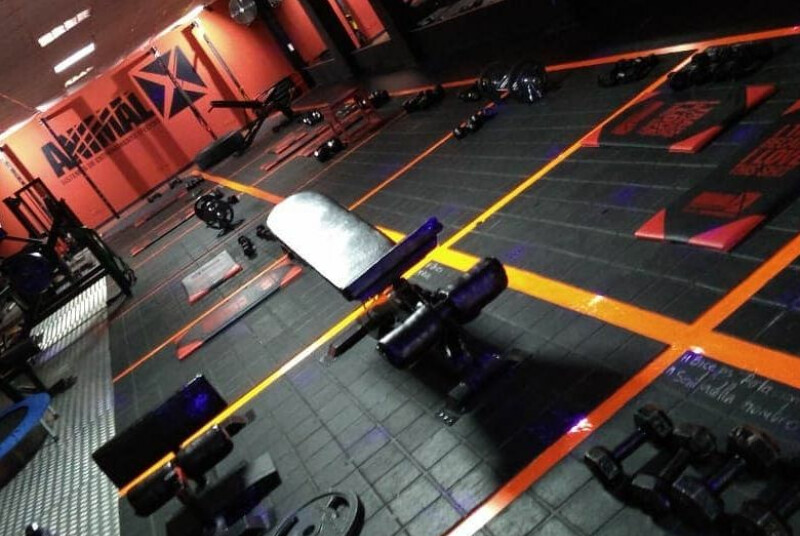 Animalx Templo Girardota, foto 4