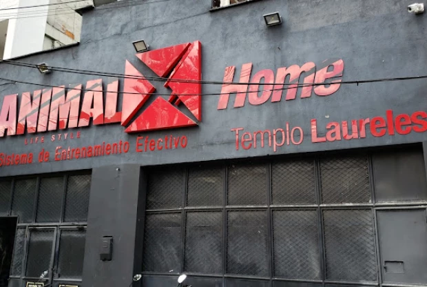 Animalx Templo Laureles, foto de portada