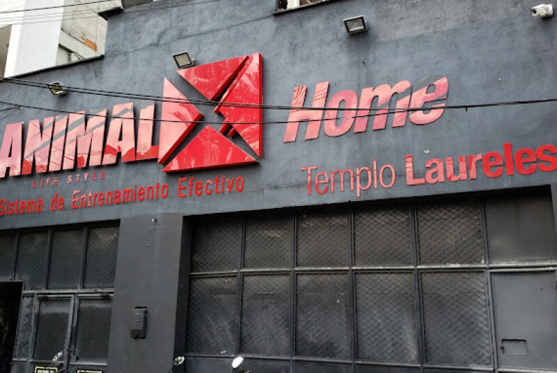 Animalx Templo Laureles, foto 5