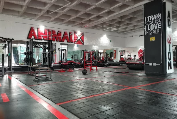 Animalx Templo Marinilla, foto de portada
