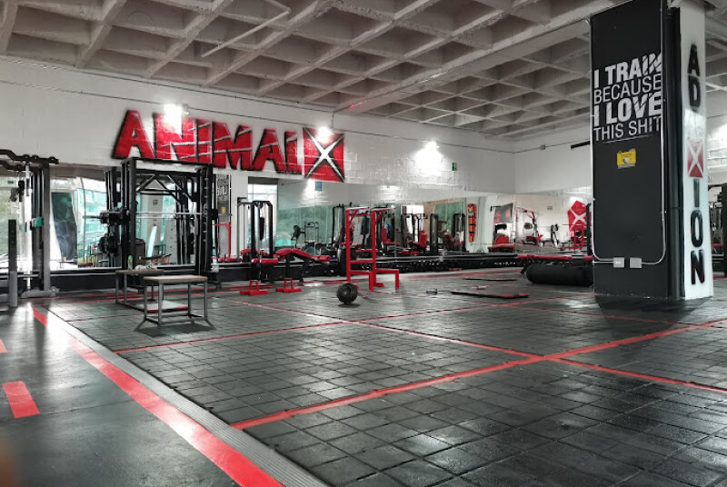 Animalx Templo Marinilla, foto 5