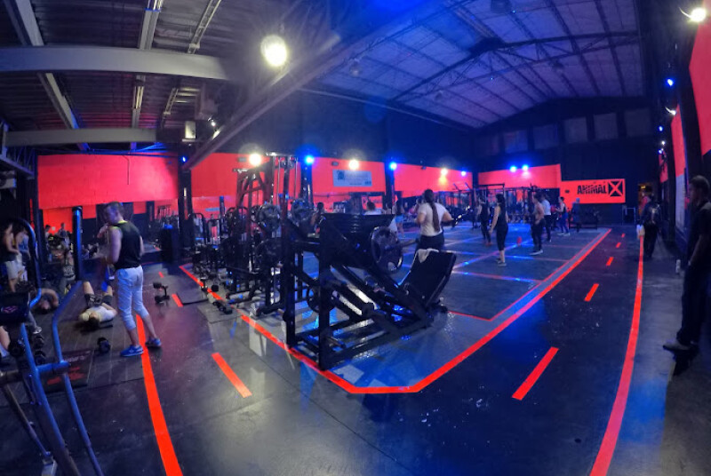Animalx Templo Robledo, foto 6