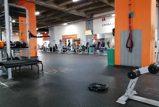 Bodytech Antares, foto 4
