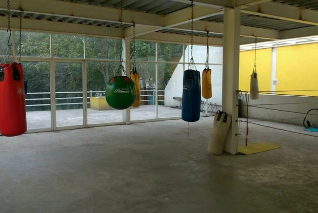 Escuela De Box El Pantera, foto de portada