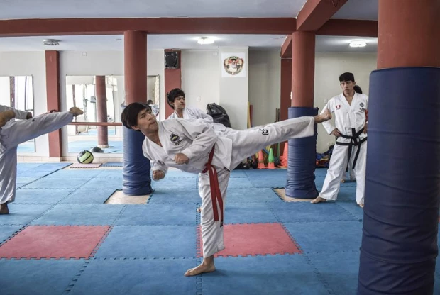 Fertex Artes Marciales, foto 3