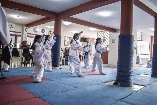 Fertex Artes Marciales, foto 4