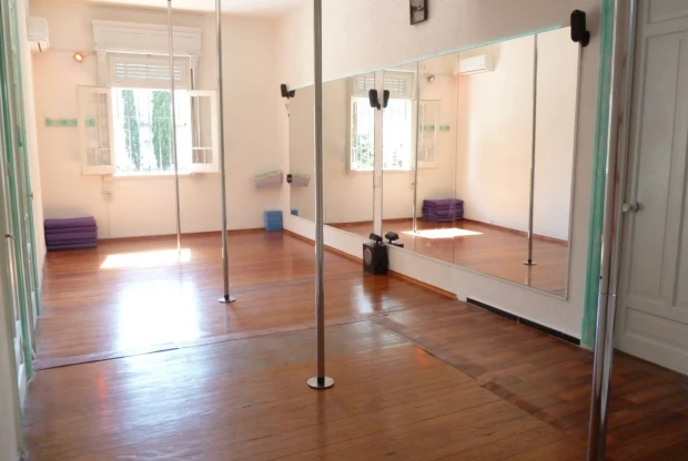 Fly Up Pole & Fitness, foto 6