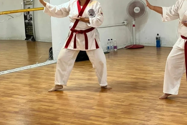 Koryo Tang Soo Do Quilicura, foto 5