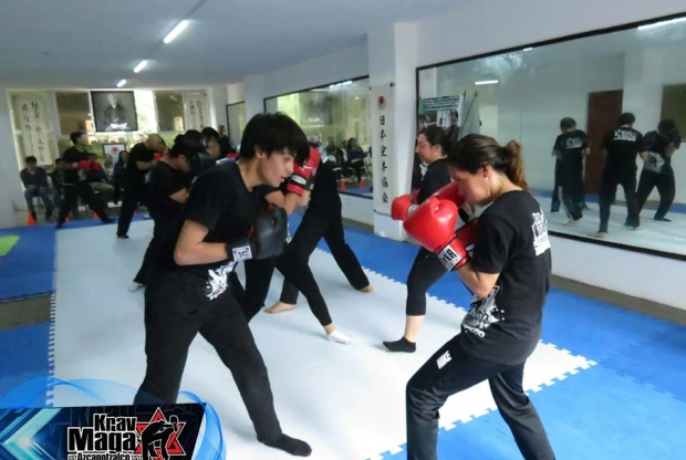 Krav Maga - Clavería, foto 4