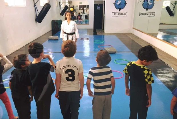 MD Karate Do - Las Águilas, foto de portada