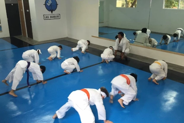 MD Karate Do - Las Águilas, foto 6