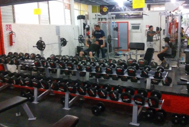 Mega Gym Fitness Y Training, foto 3