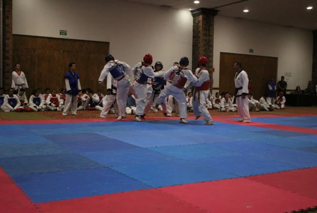 Moo Duk Kwan - Centro Libanés, foto 3
