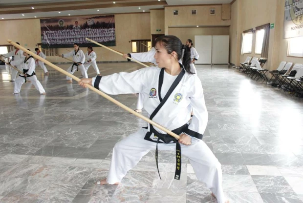 Moo Duk Kwan - Chimalhuacan, foto 4