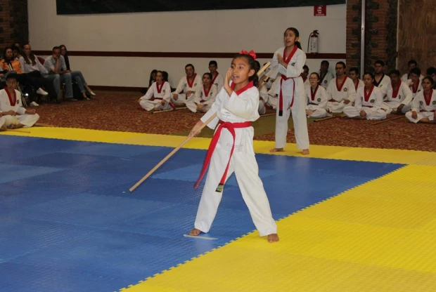 Moo Duk Kwan - Diamante, foto de portada