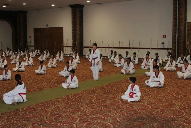 Moo Duk Kwan - Diamante, foto 2