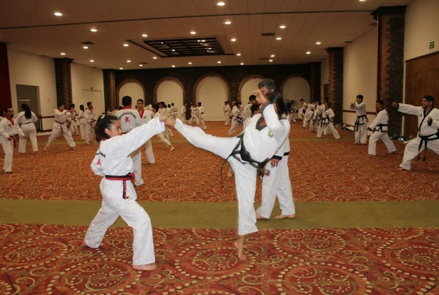 Moo Duk Kwan - Diamante, foto 4