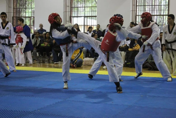 Moo Duk Kwan - Los Encinos, foto de portada