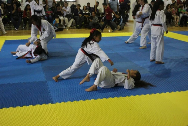 Moo Duk Kwan - Tepotzotlan, foto 4