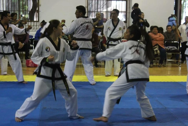 Moo Duk Kwan - Tollocan, foto 3