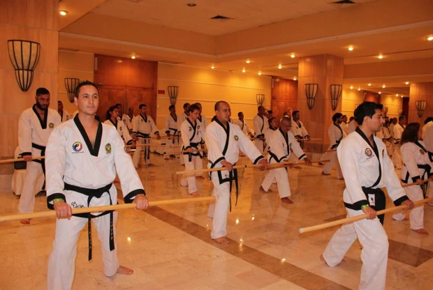 Moo Duk Kwan - Tollocan, foto 4