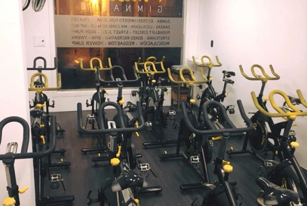 Palestra Gimnasio, foto de portada