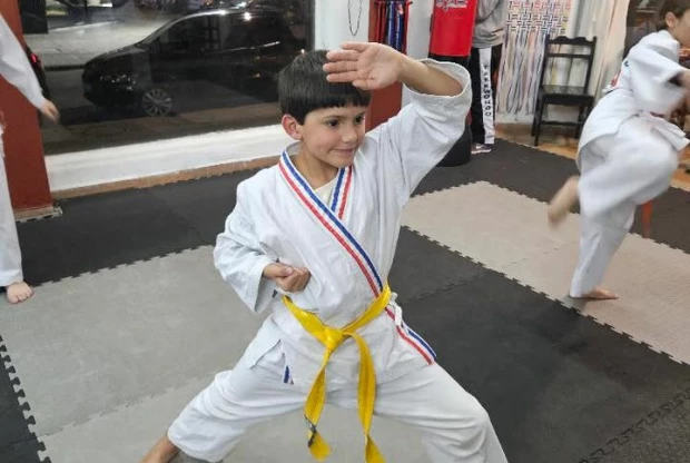 Phoenix Artes Marciales, foto de portada