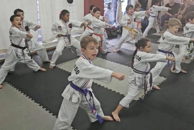 Phoenix Artes Marciales, foto 6